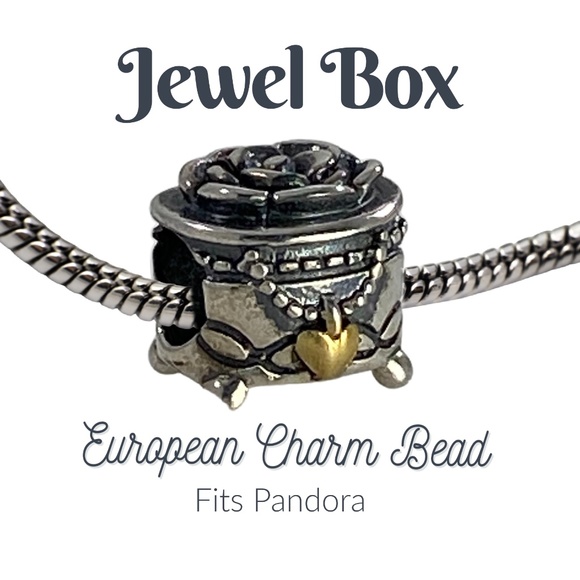 Dragonfly Spirit Designs Jewelry - European Charm Bead Jewelry Box 925S Fits Pandora